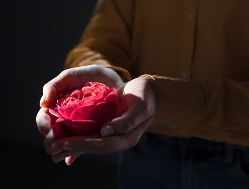 A close-up view of hands holding a vibrant red rose, evoking a sense of care and tenderness.